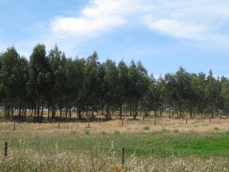 Lot 202 Munetta  Road, Pages Flat SA 5172