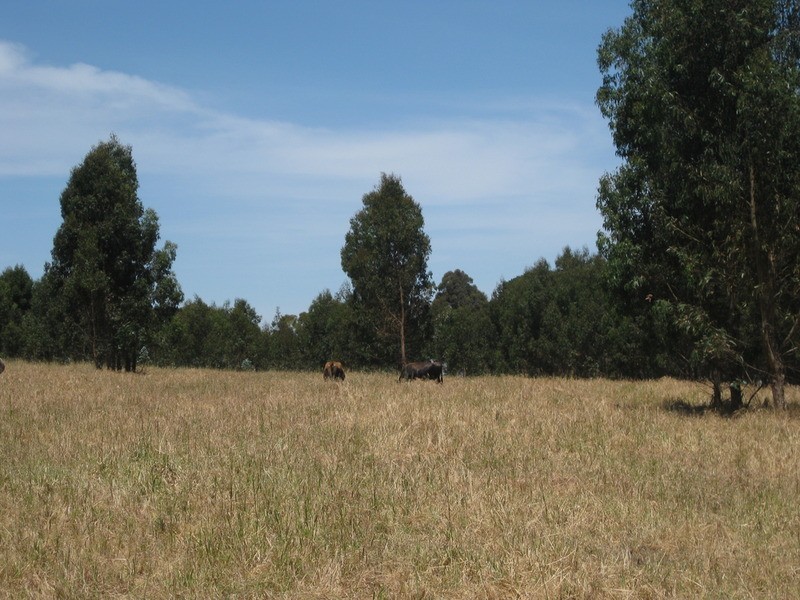 Lot 202 Munetta  Road, Pages Flat SA 5172