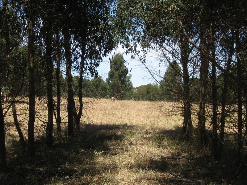 Lot 202 Munetta  Road, Pages Flat SA 5172