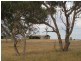 Lot 1 Dry Plains Road, Finniss SA 5255