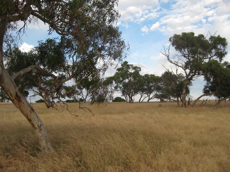 Lot 1 Dry Plains Road, Finniss SA 5255
