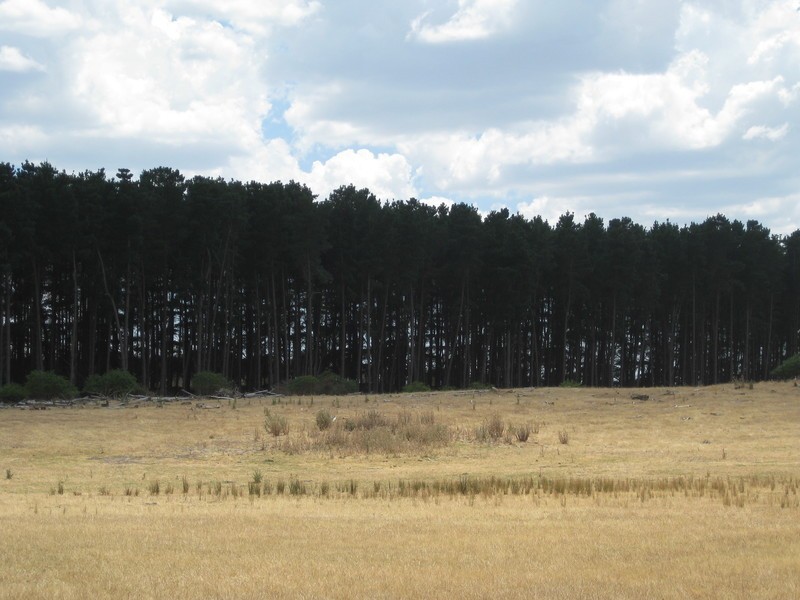 39 Munetta Road, Mount Compass SA 5210