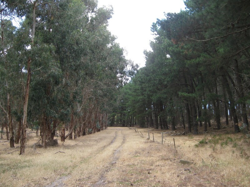 39 Munetta Road, Mount Compass SA 5210