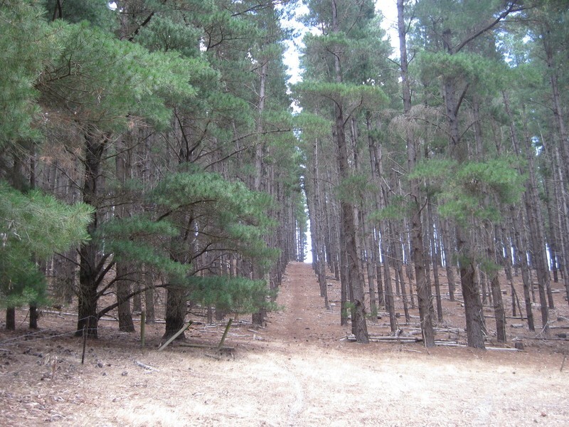 39 Munetta Road, Mount Compass SA 5210