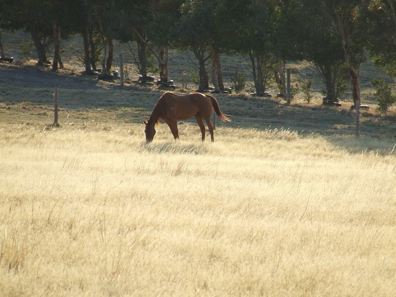 198 Through Road, Tooperang SA 5255