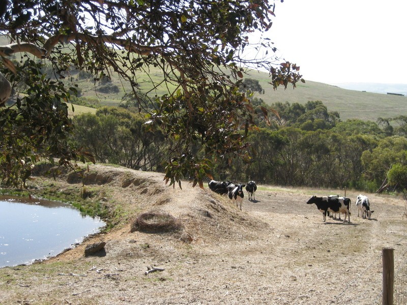 Lot 4 Cleland Gully Road, Mount Compass SA 5210