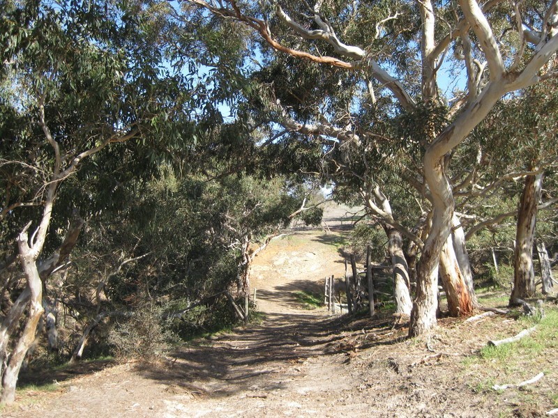 Lot 4 Cleland Gully Road, Mount Compass SA 5210