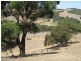 107 Scott Road, Yundi SA 5172