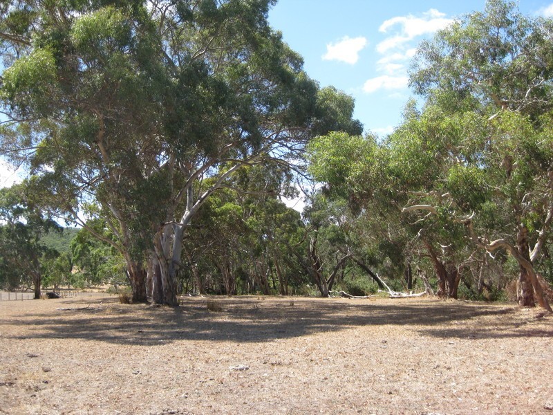 Lot  9 Scott Road, Yundi SA 5172