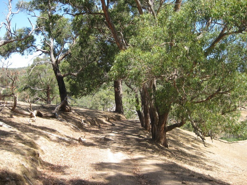 Lot  9 Scott Road, Yundi SA 5172