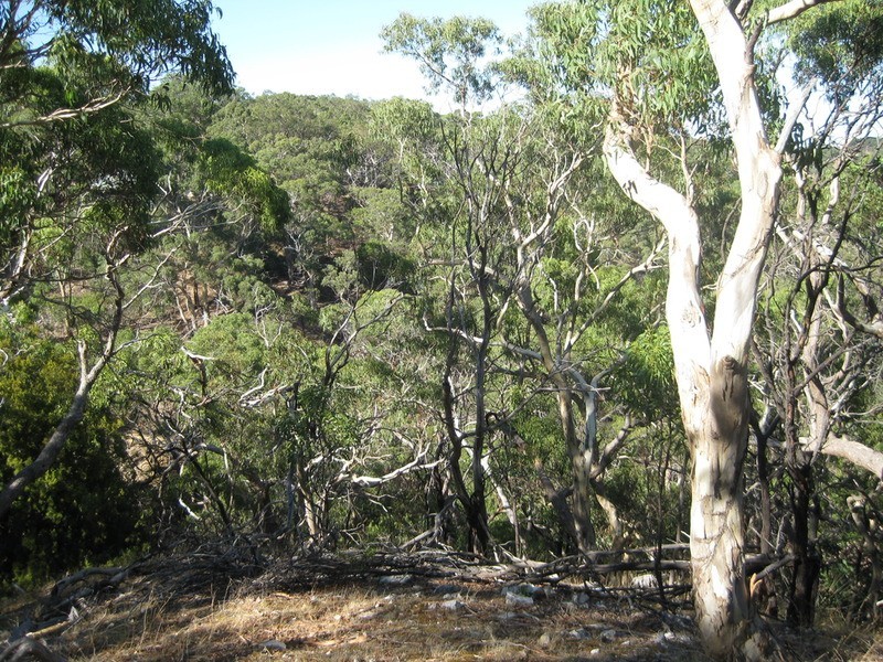 Lot 357 Bangor  Road, Willunga SA 5172