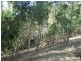 Lot 357 Bangor  Road, Willunga SA 5172