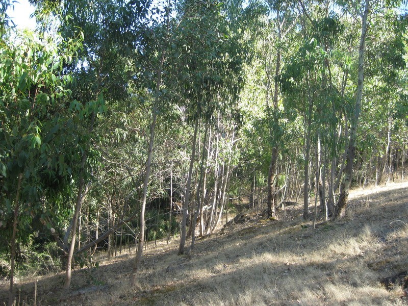 Lot 357 Bangor  Road, Willunga SA 5172