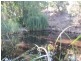 Lot 357 Bangor  Road, Willunga SA 5172