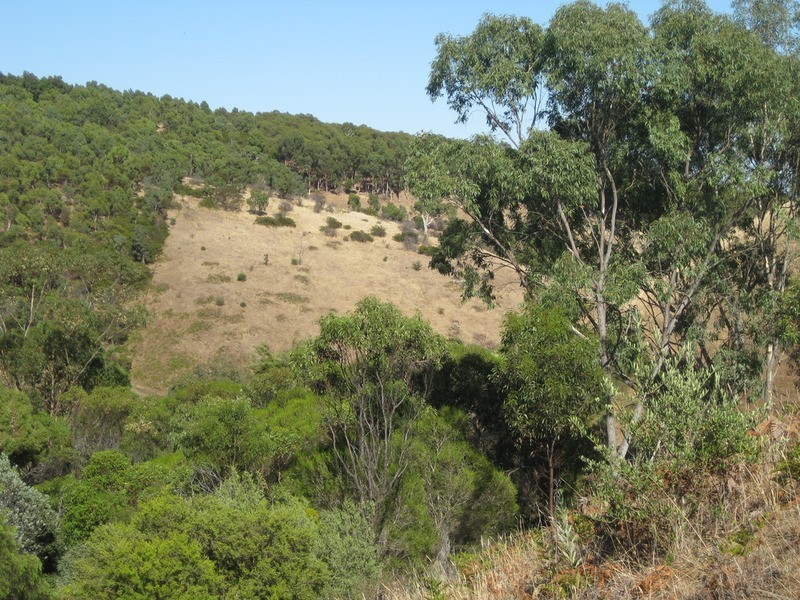 Lot 357 Bangor  Road, Willunga SA 5172
