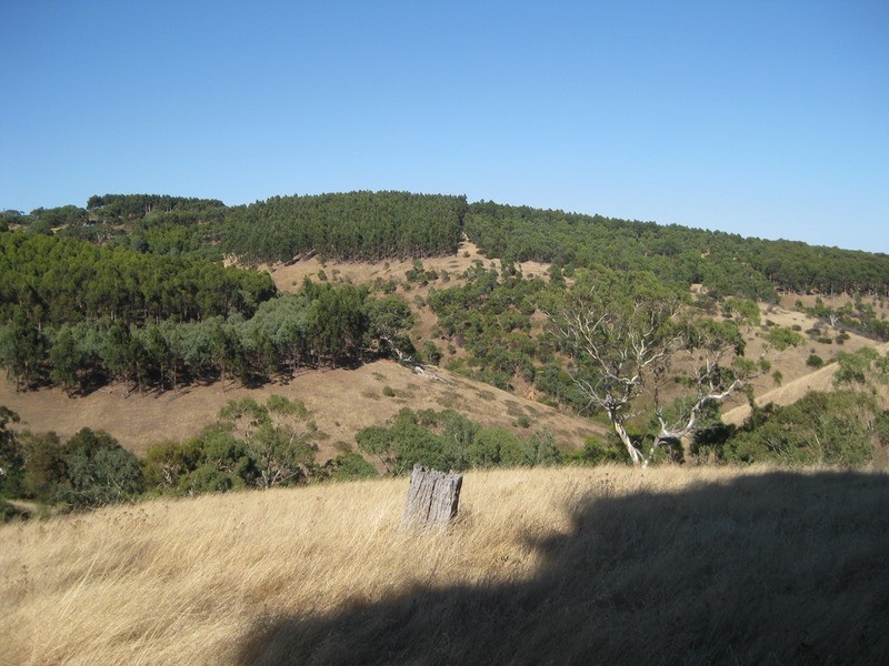 Lot 357 Bangor  Road, Willunga SA 5172