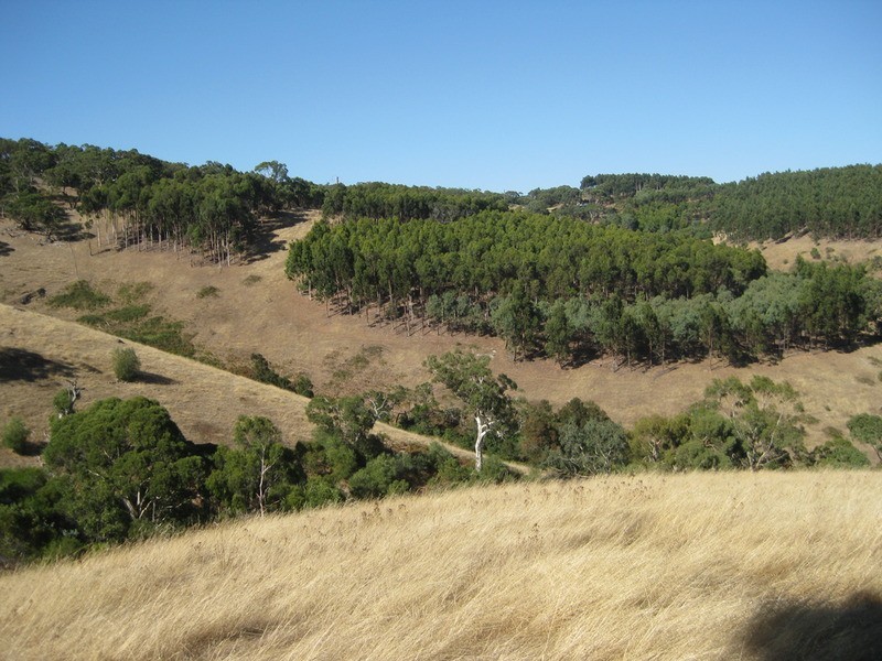 Lot 357 Bangor  Road, Willunga SA 5172