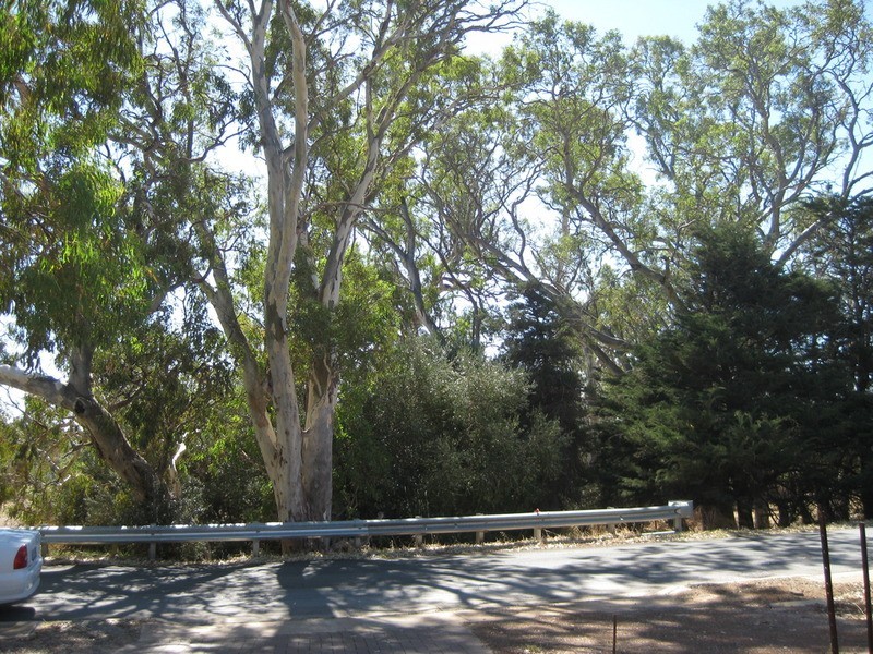 20 Hall Road, Willunga SA 5172
