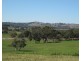 Lot 8 Cleland Gully Road, Tooperang SA 5255