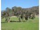 Lot 8 Cleland Gully Road, Tooperang SA 5255