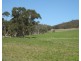 Lot 8 Cleland Gully Road, Tooperang SA 5255