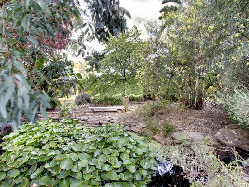 49 Peters Terrace, Mount Compass SA 5210