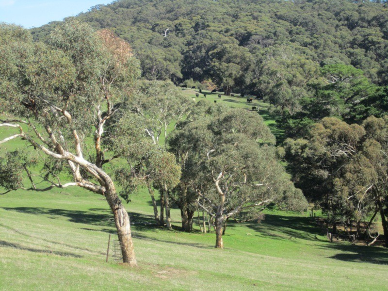 188 Springmount  Road, Myponga SA 5202