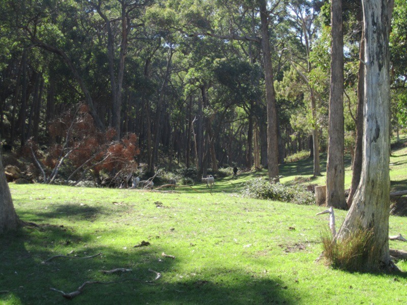 188 Springmount  Road, Myponga SA 5202