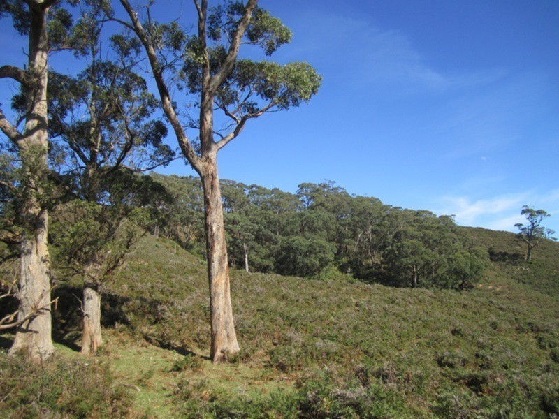 188 Springmount  Road, Myponga SA 5202