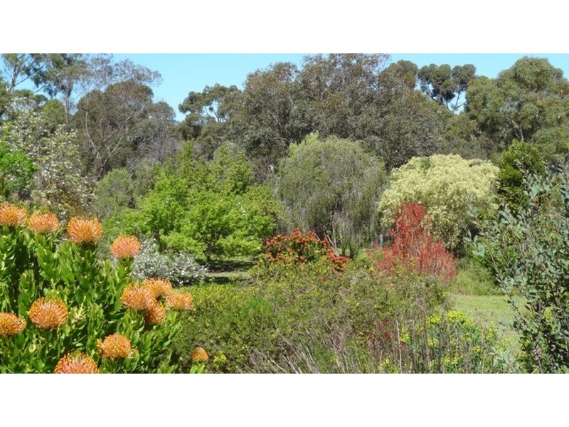 114 Brookmans Road, Blewitt Springs SA 5171