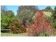 114 Brookmans Road, Blewitt Springs SA 5171