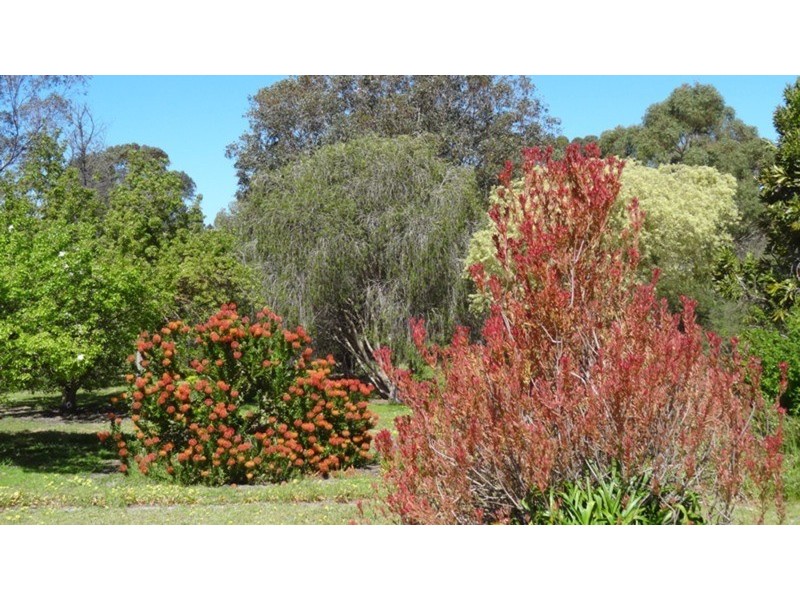 114 Brookmans Road, Blewitt Springs SA 5171