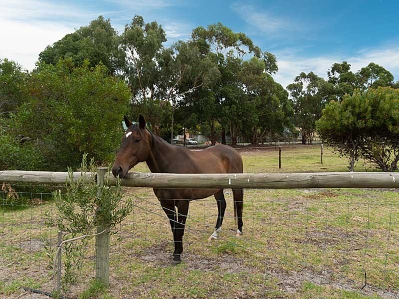 695 Nangkita Road, Mount Compass SA 5210