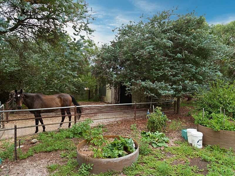 695 Nangkita Road, Mount Compass SA 5210