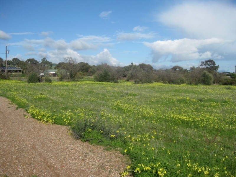 Lot 292 Button Road, Aldinga Beach SA 5173