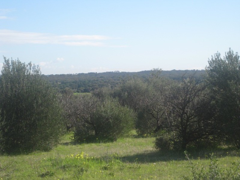 Lot 292 Button Road, Aldinga Beach SA 5173
