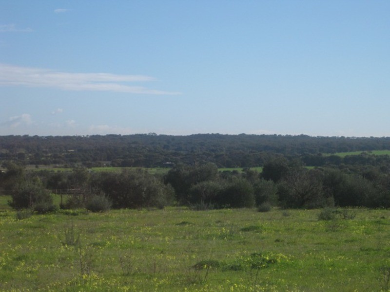 Lot 292 Button Road, Aldinga Beach SA 5173