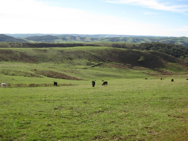 Lot 201 Springmount  Road, Myponga SA 5202