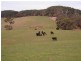 Lot 201 Springmount  Road, Myponga SA 5202