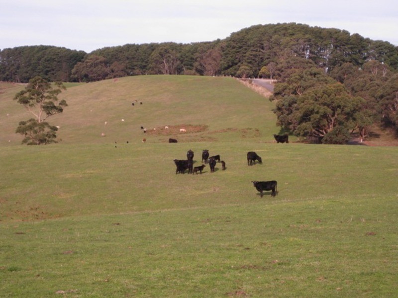 Lot 201 Springmount  Road, Myponga SA 5202