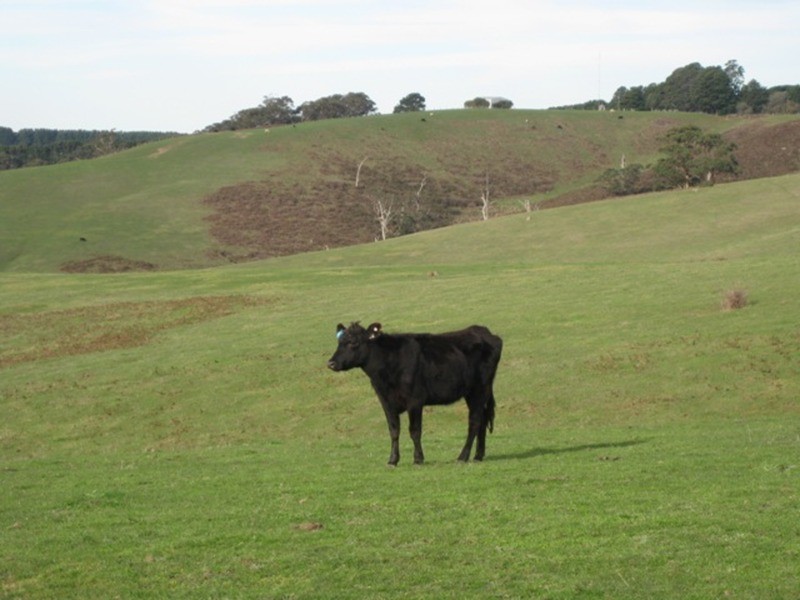 Lot 201 Springmount  Road, Myponga SA 5202