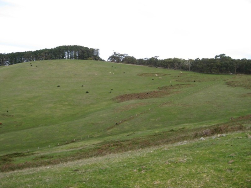 Lot 201 Springmount  Road, Myponga SA 5202