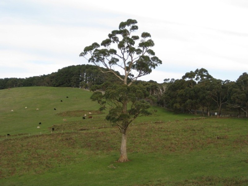 Lot 201 Springmount  Road, Myponga SA 5202