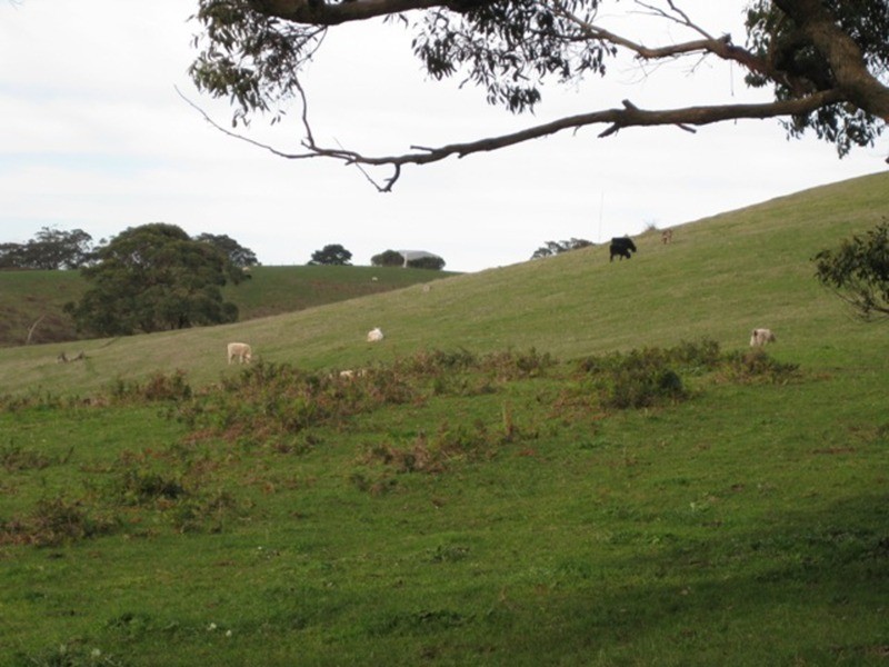 Lot 202 Springmount Road, Myponga SA 5202