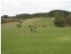 Lot 202 Springmount Road, Myponga SA 5202