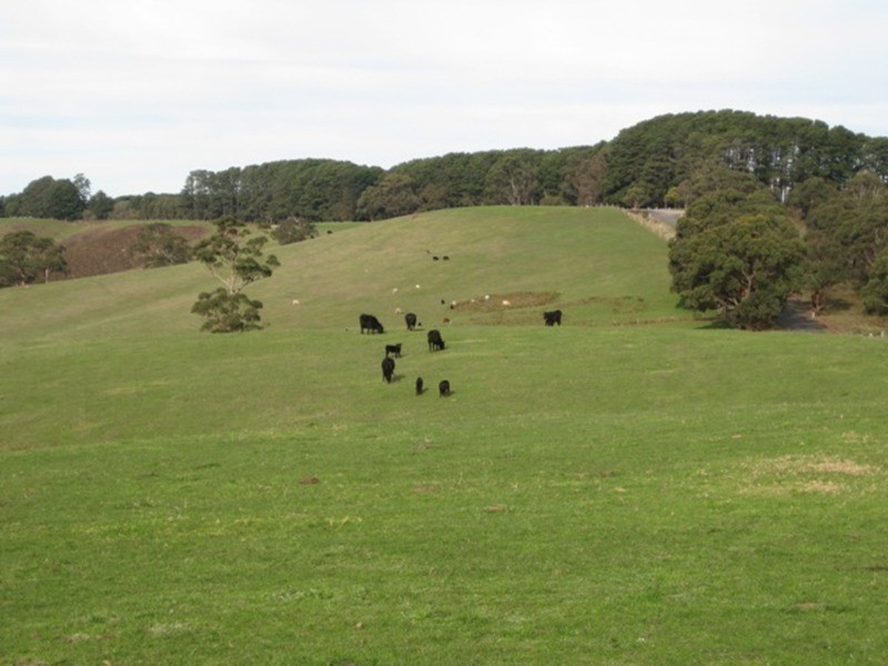Lot 202 Springmount Road, Myponga SA 5202