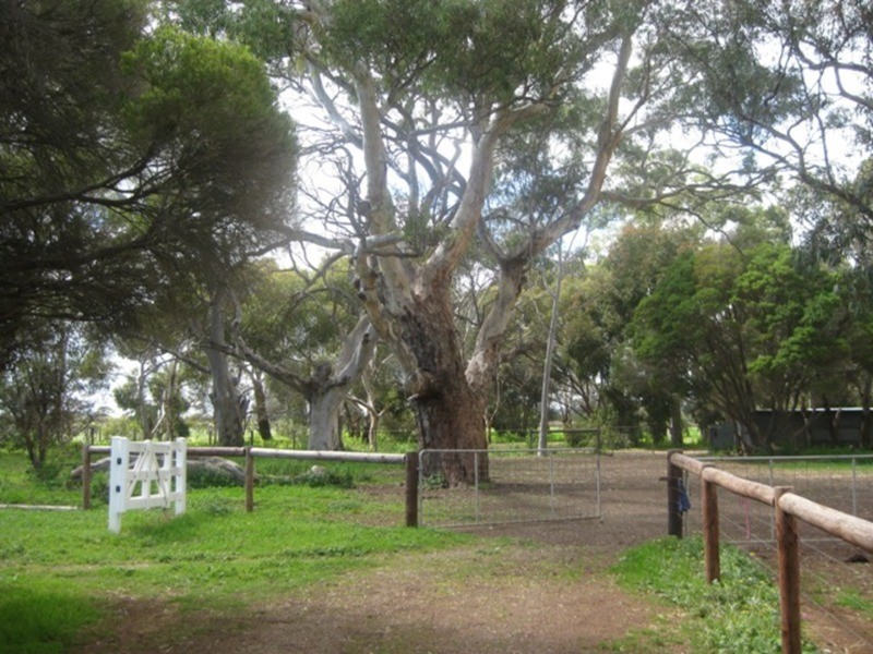 6 Bayliss Road, Willunga SA 5172