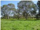 6 Bayliss Road, Willunga SA 5172