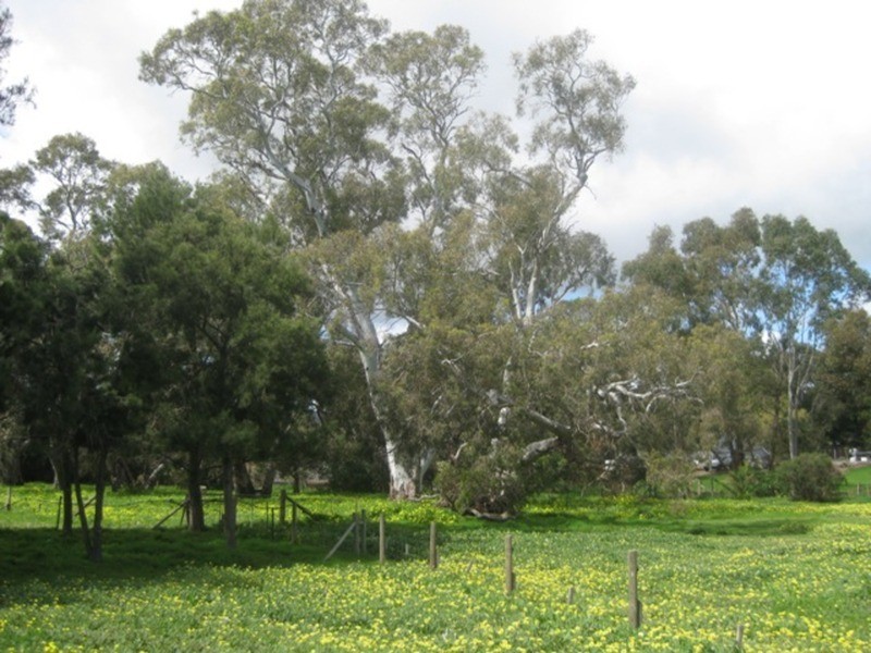 6 Bayliss Road, Willunga SA 5172