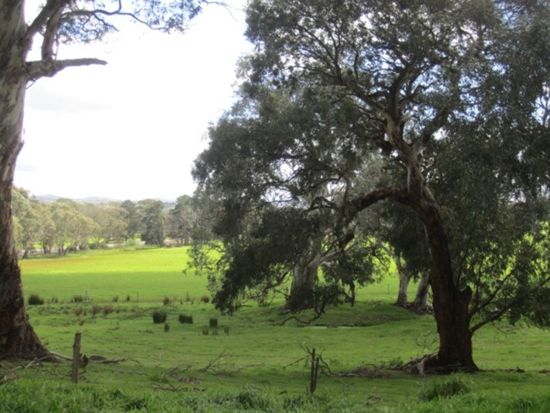 2571 Bull Creek Road, Tooperang SA 5255